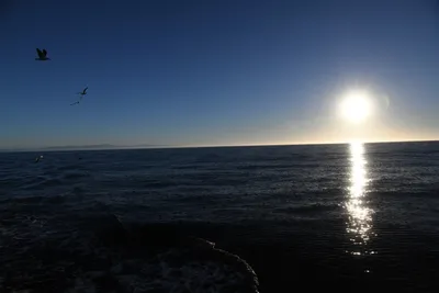 DSC_6689 (Large).JPG